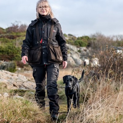 Online course: Heelwork for Gun Dogs - w/o personal feedback